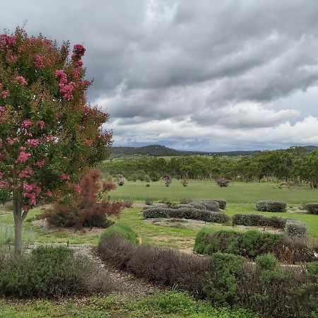 Accommodation Creek Cottages & Sundown View Suites Ballandean Esterno foto